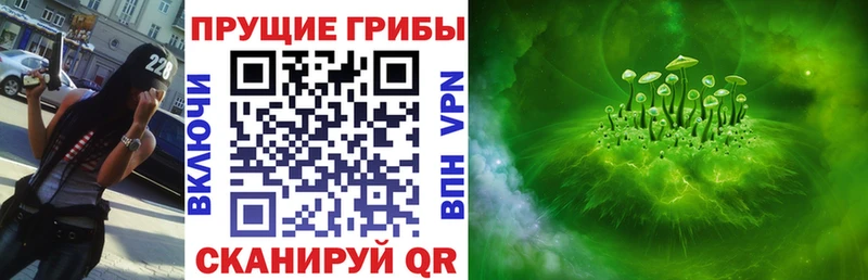 Галлюциногенные грибы мухоморы  купить наркоту  Гаврилов-Ям 
